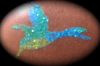 glitter humming bird tattoo